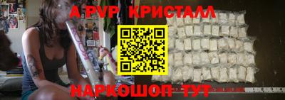 дмт Кингисепп