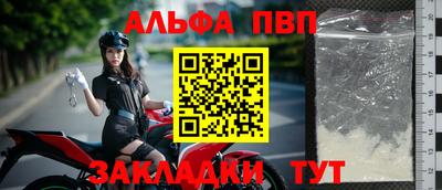 дмт Кингисепп