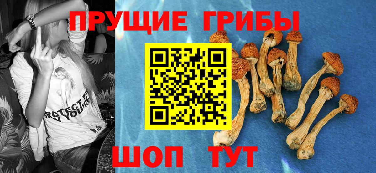 Псилоцибиновые грибы ЛСД Королёв