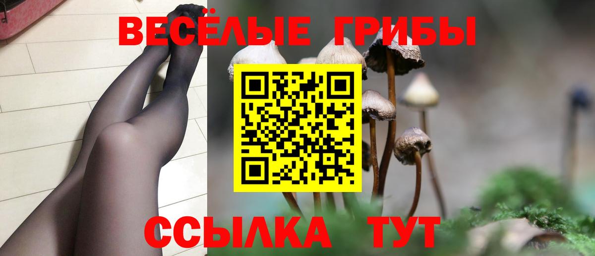 Псилоцибиновые грибы Psilocybe  Галлюциногенные грибы Magic Shrooms  Вход с VPN  где купить наркоту  Королёв 